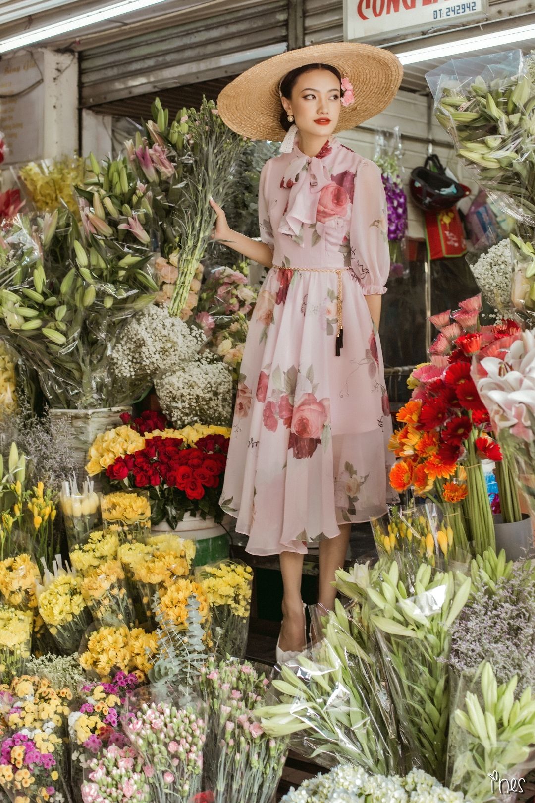 Carla Dress