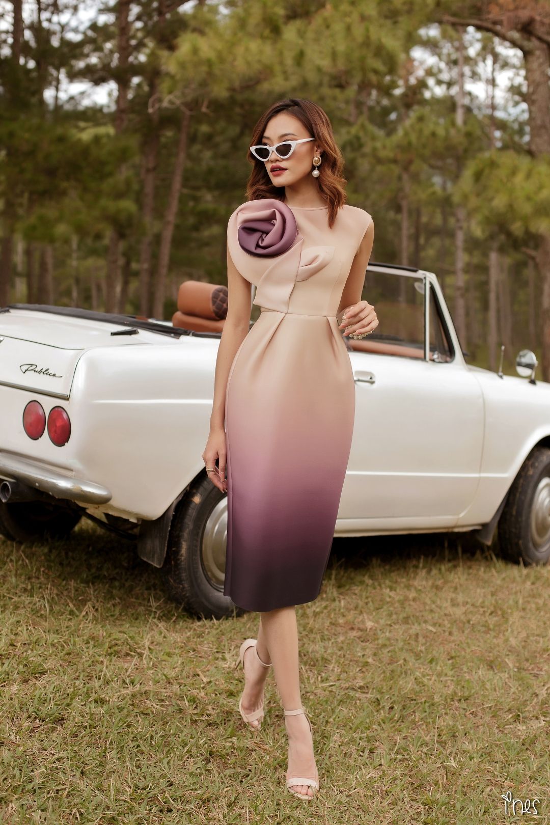 Celine Dress