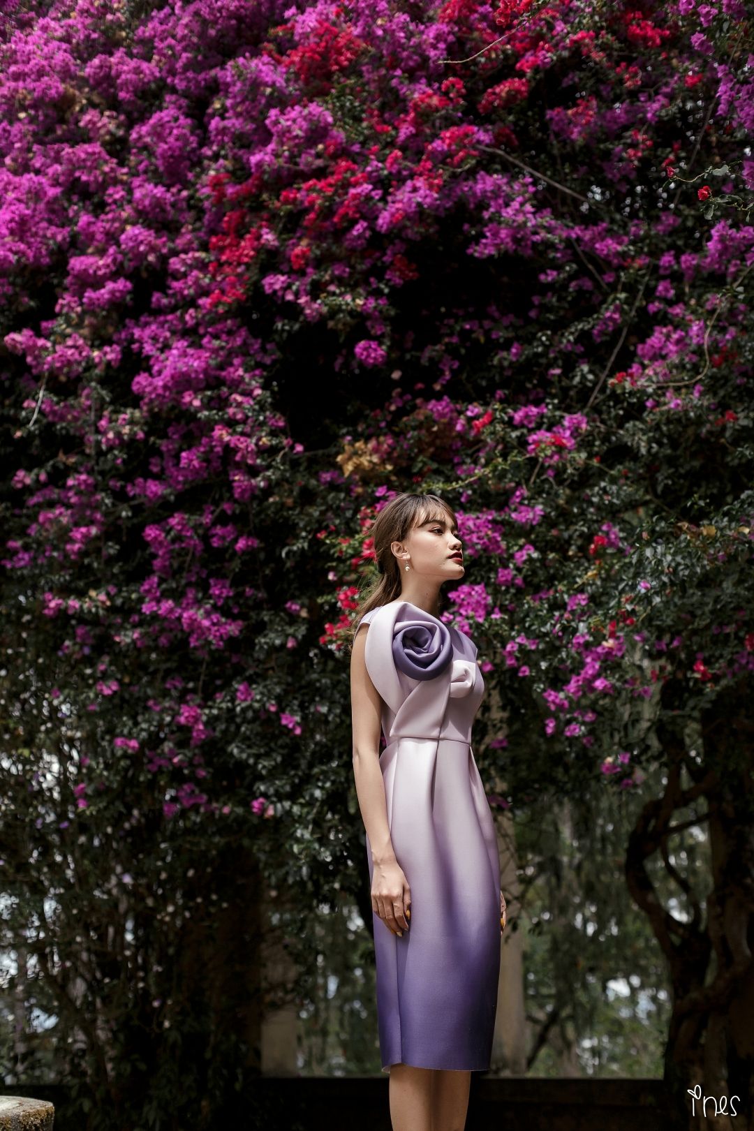 Celine Dress