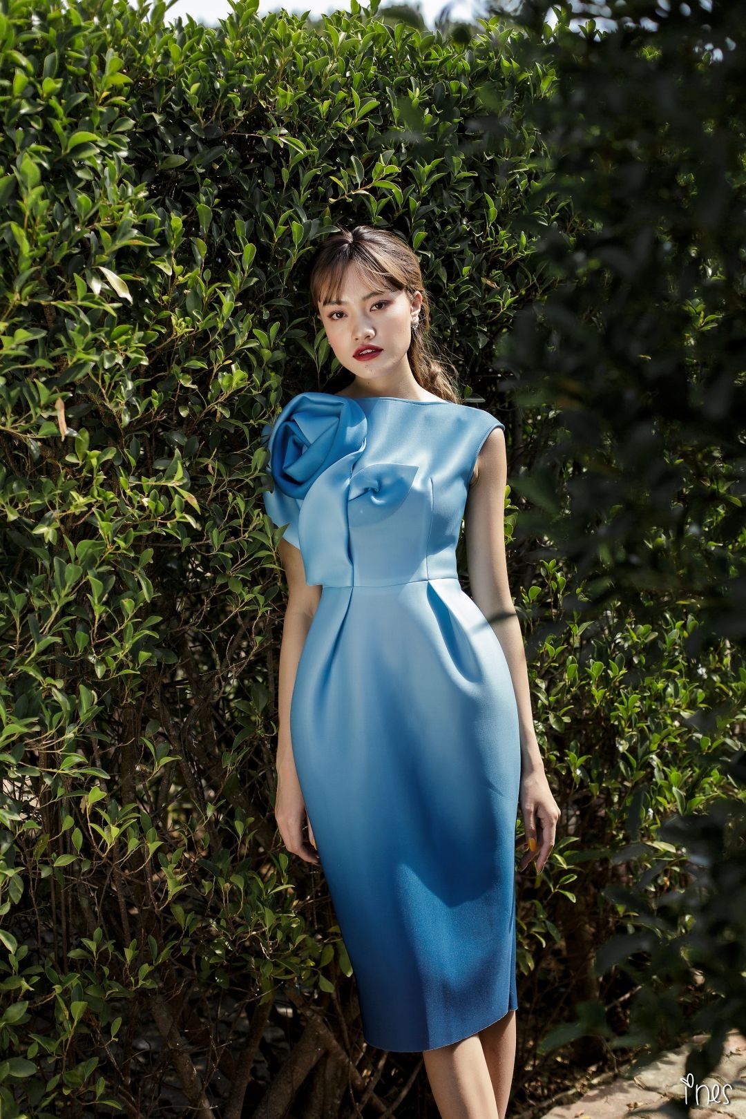 Celine Dress