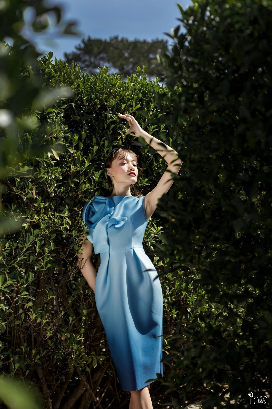Celine Dress