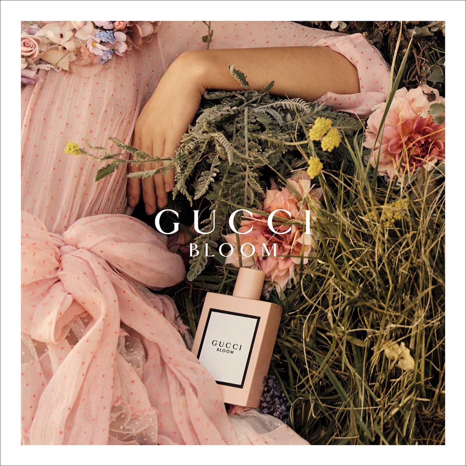 Gucci Bloom