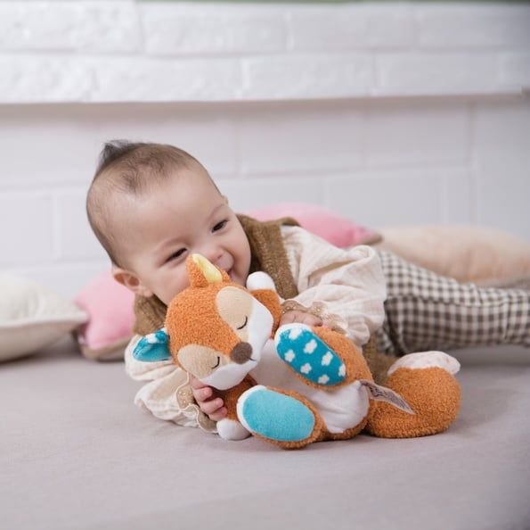 Thú nhồi bông | Nici Germany | cáo cam fox Finni MFN (My first NICI) 49055