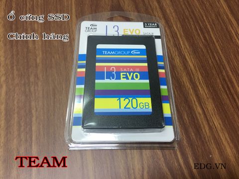 Ổ cứng SSD 120GB L3-EVO chính hãng TEAM