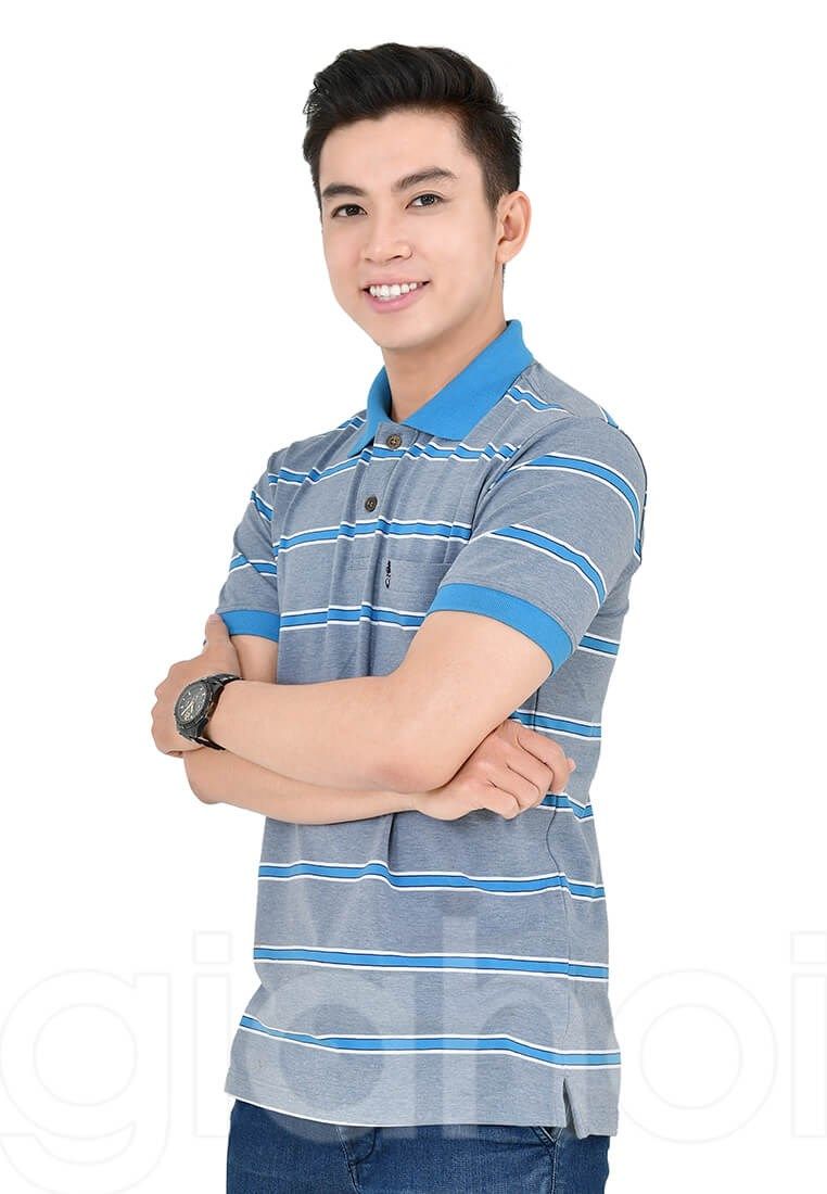 Cá Ngựa Sọc