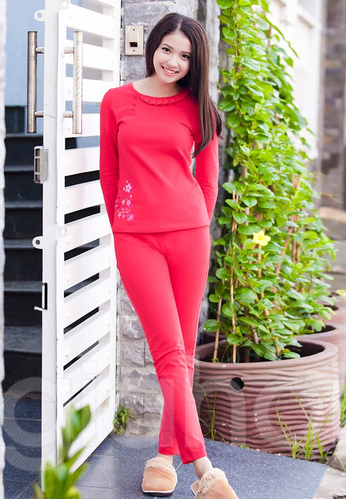 Hoa Sao Xếp Ly (TDQD)
