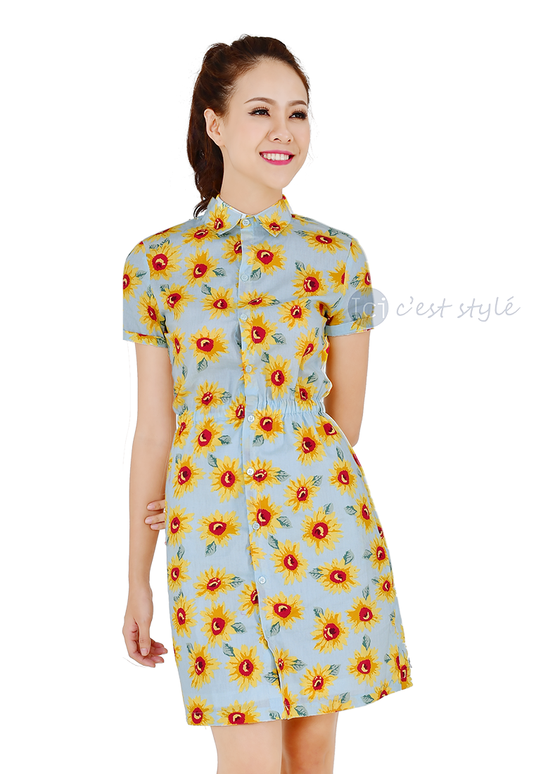 Đầm TD21