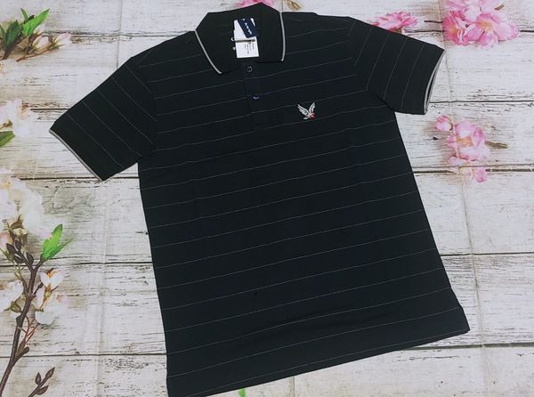  Đại bàng sọc (Size M, L) 