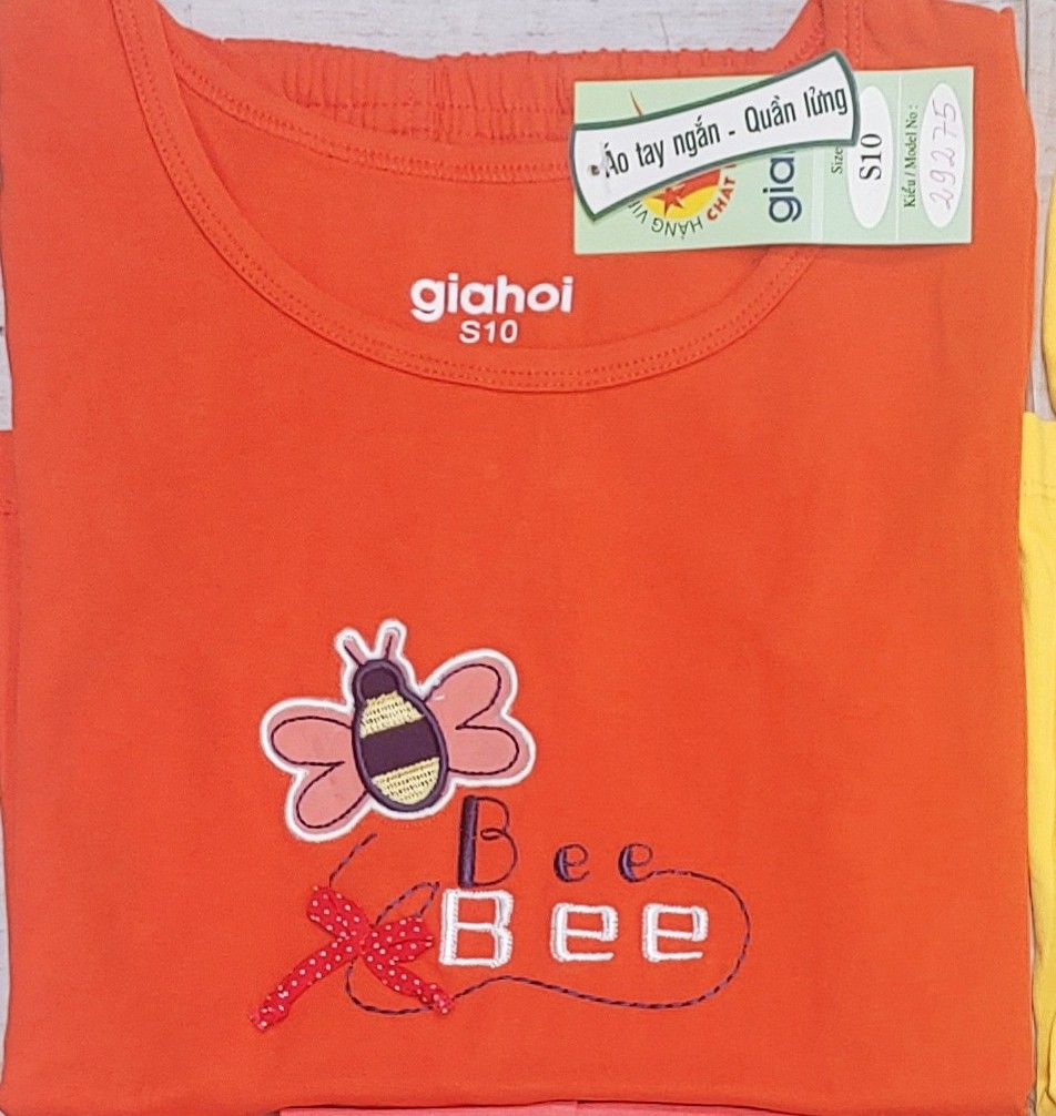 Ong Nơ (S8, S10, S12)