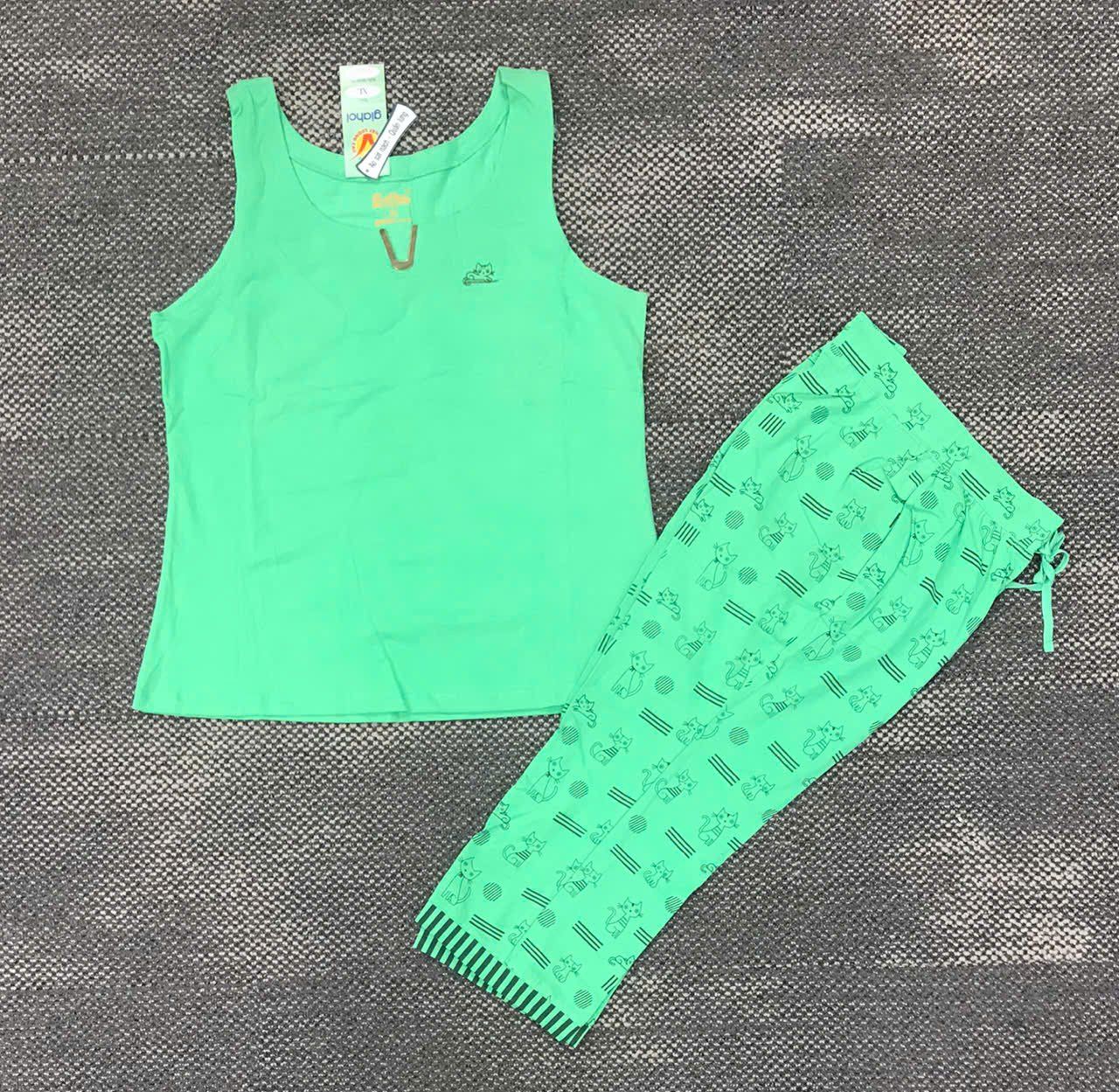 Tranh Mèo ( Lô 30 cái, 60k/1sp ) M L XL