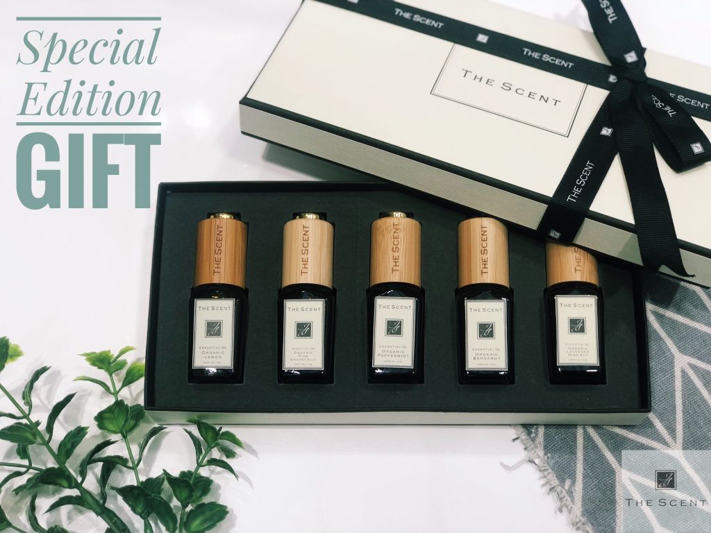 Bộ quà tặng tinh dầu Organic The Scent - SPECIAL EDITION GIFT