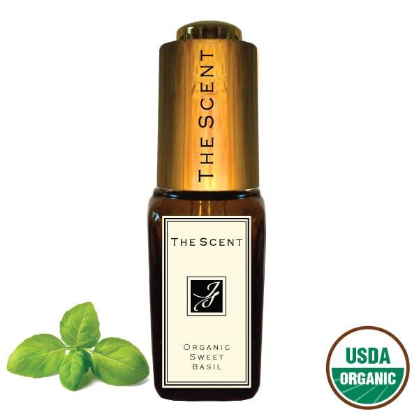 Tinh dầu Húng quế ngọt  Organic - Organic Sweet Basil -  The Scent nhập khẩu từ Mỹ