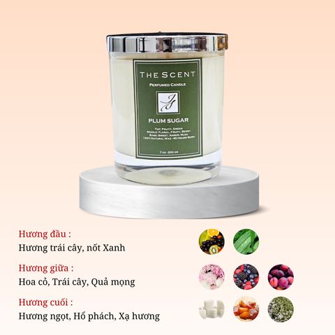 Nến thơm Plum Sugar 3 - Nến thơm cao cấp, nến xông phòng, giúp ngủ ngon The Scent