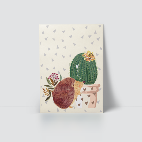 CACTUS - HEDGEHOG