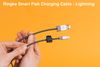 SMART FISH CHARGING CABLE 1.2M LIGHTNING - DÂY CÁP SẠC