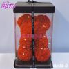 Gấu Hoa Hồng 30cm - GH30