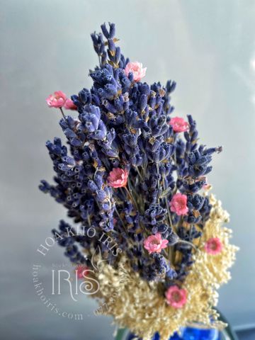 lọ hoa lavender tuyết hồng