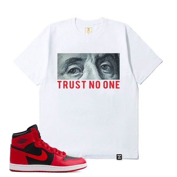 Air Jordan I - Trust No One