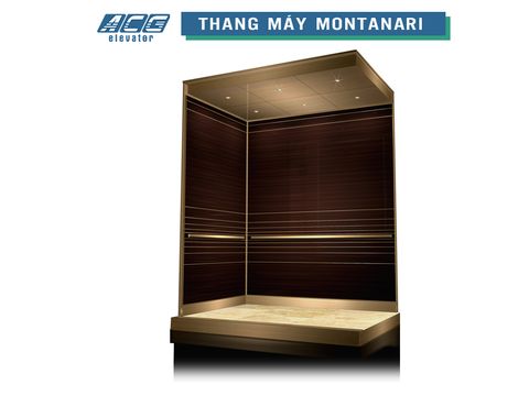 Thang máy gia đình Montanari 450kg/3stop