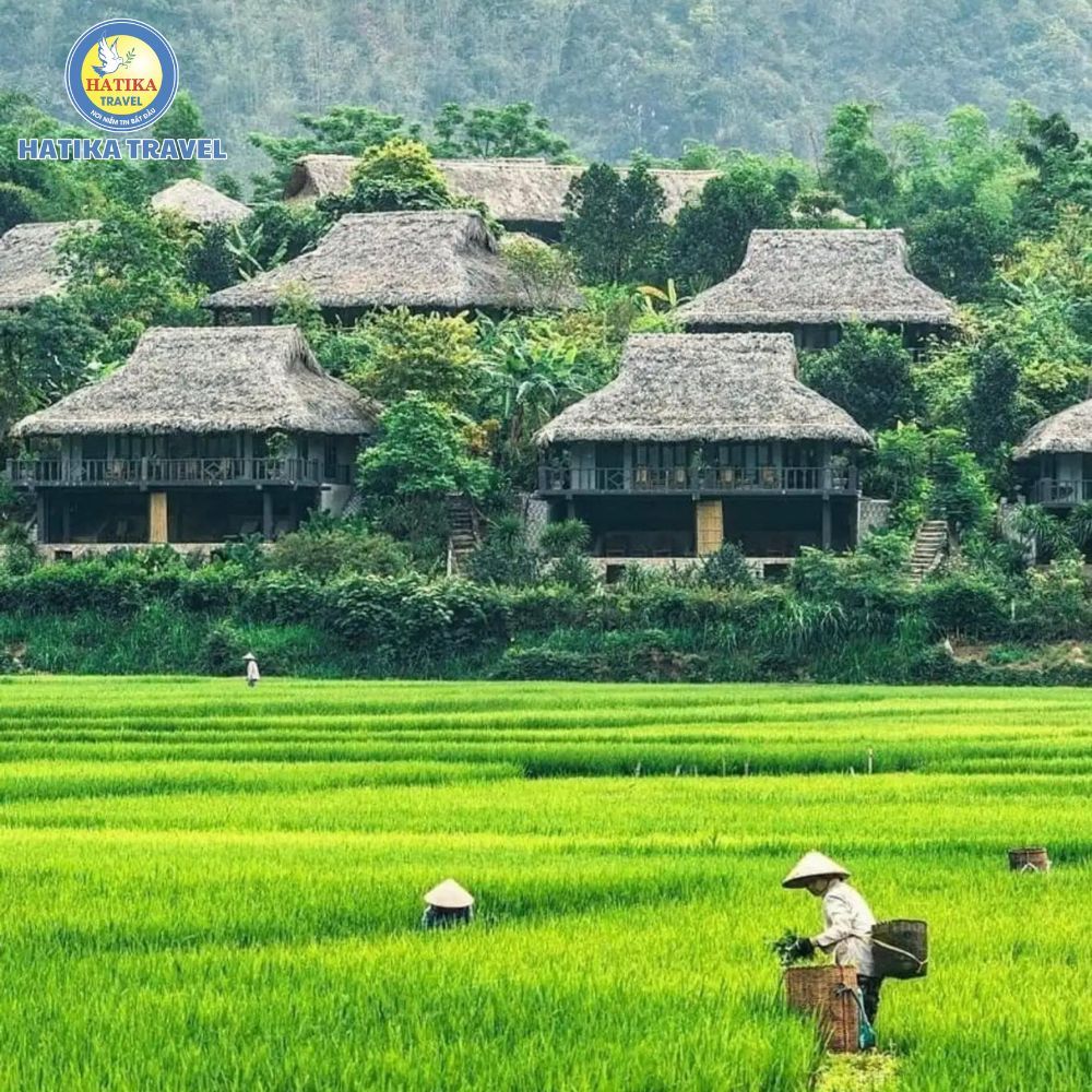 Tour vòng cung Tây Bắc 5N4D - MAI CHÂU - MỘC CHÂU - SƠN LA - ĐIỆN BIÊN - LAI CHÂU - SAPA