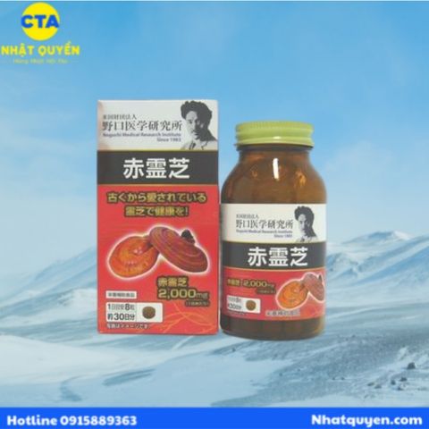 Viên uống Nấm linh chi đỏ Reishi Noguichi Nhật Bản