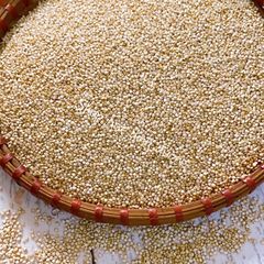 500g Hạt Diêm Mạch Trắng, Quinoa Trắng, Giảm Cân Hiệu Quả - Thực Phẩm Dinh Dưỡng Đồ ăn Vặt