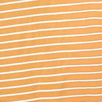 áo thun nữ croptop, ngắn tay_ akh stripe colour 3