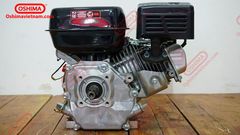 Máy nổ Ducar 5.5HP