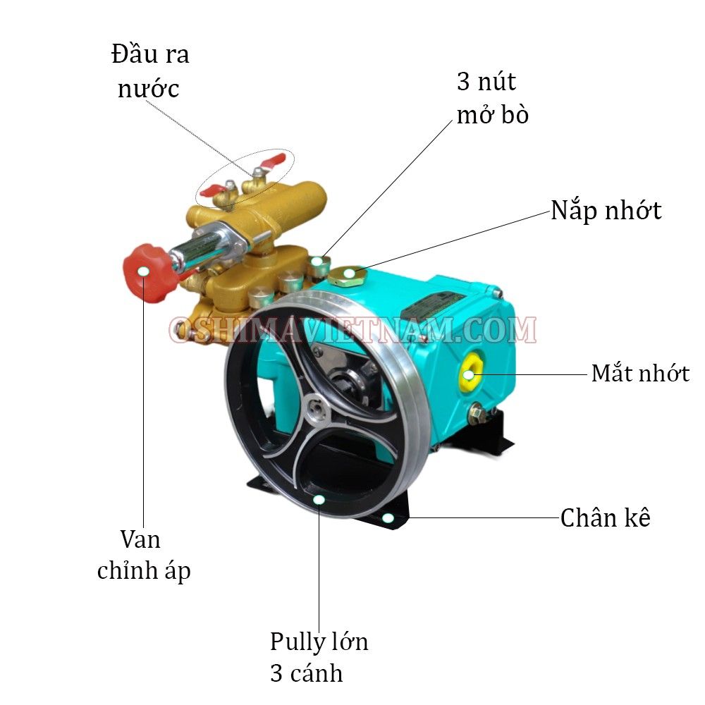 Đầu xịt con ong vàng COV 30 A