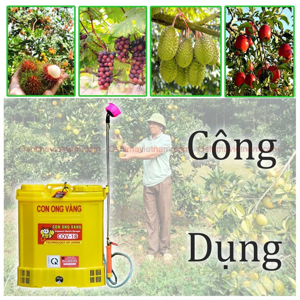 Bình xịt điện Con Ong Vàng COV 18D