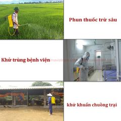 Bình xịt điện con ong vàng COV 20 L 8