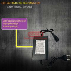 Bình xịt điện con ong vàng COV20-BY