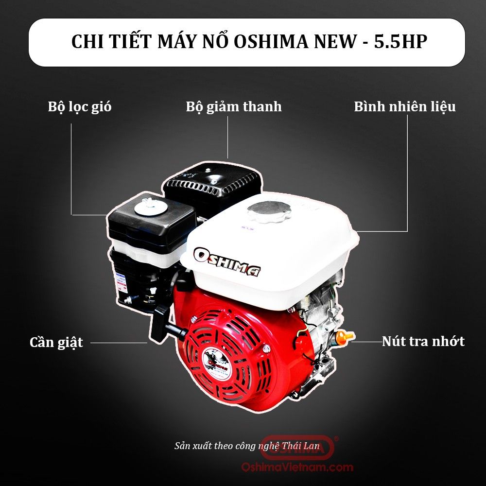 MÁY NỔ OSHIMA NEW 5.5 HP