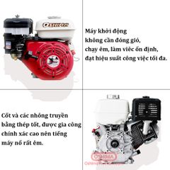 MÁY NỔ OSHIMA NEW 5.5 HP