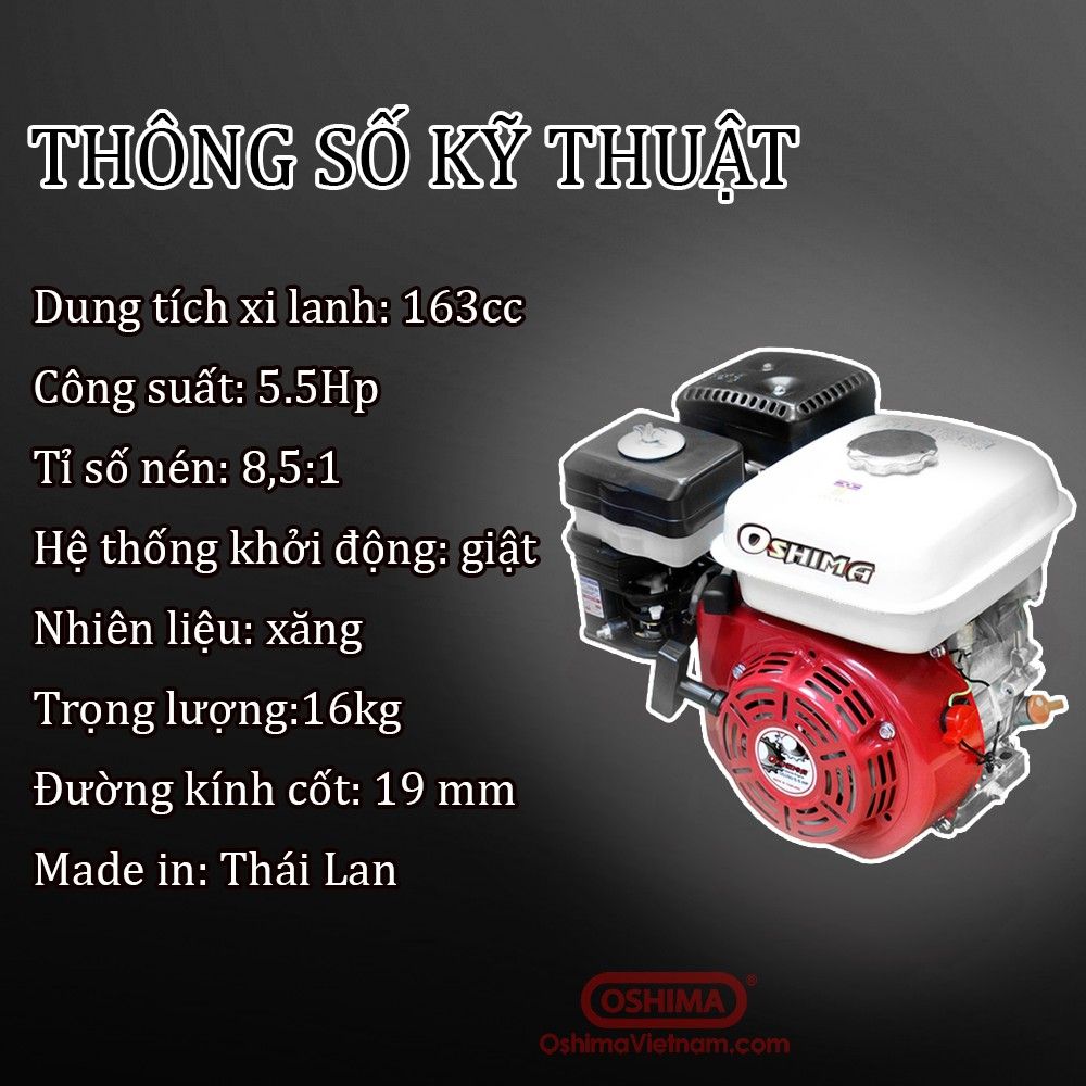 MÁY NỔ OSHIMA NEW 5.5 HP