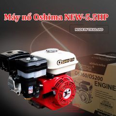 MÁY NỔ OSHIMA NEW 5.5 HP