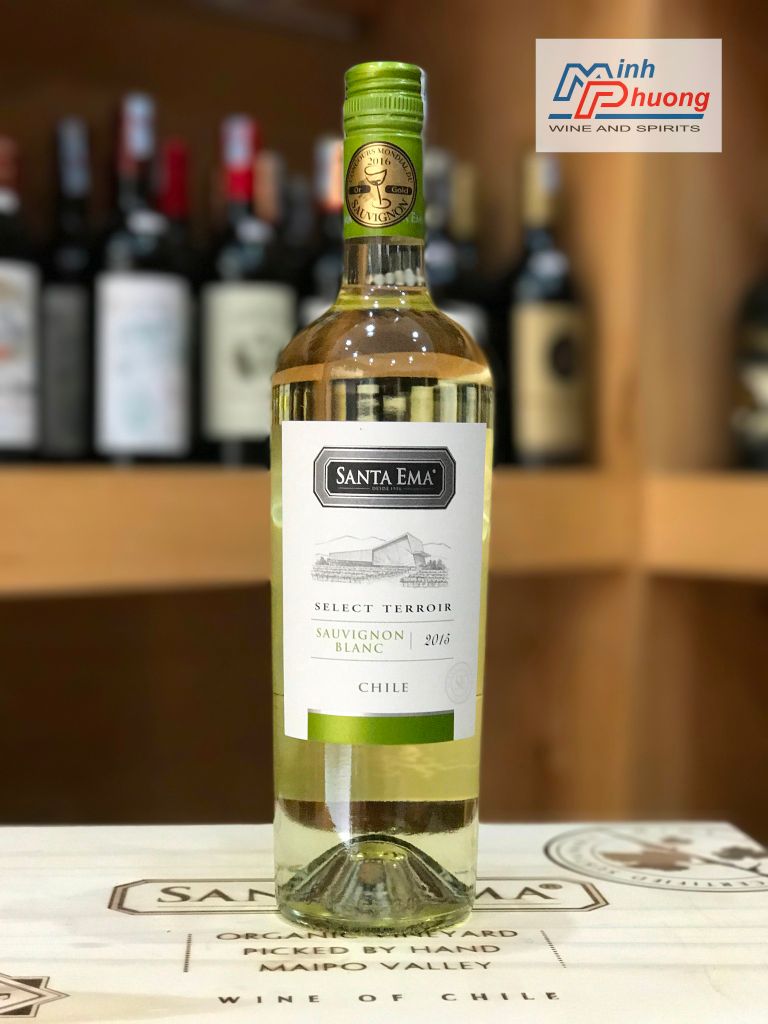 Rượu vang Chile Santa Ema Selected Terroir Sauvigon Blanc