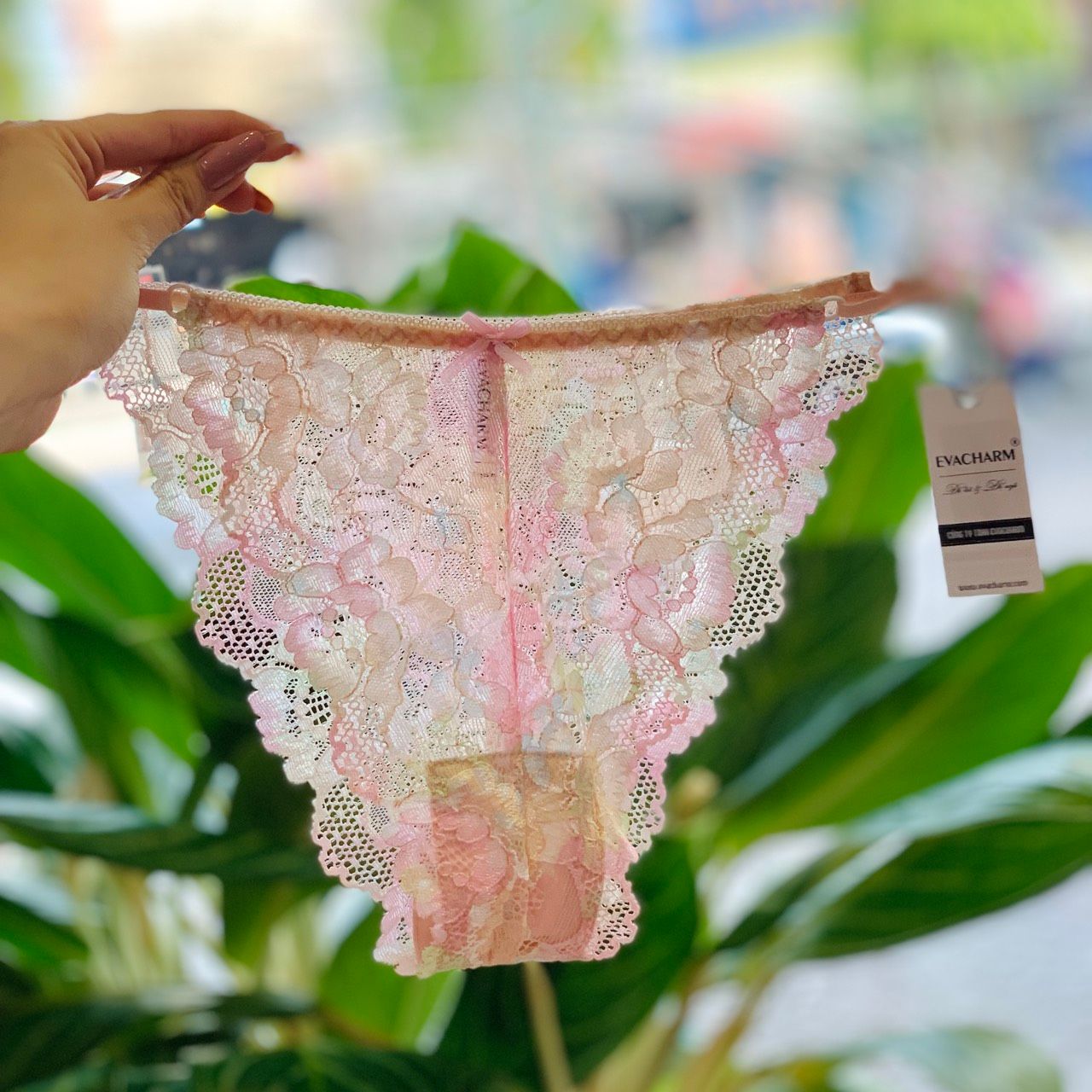 Set bra Evacharm ren dây không gọng họa tiết hoa hồng, freesize