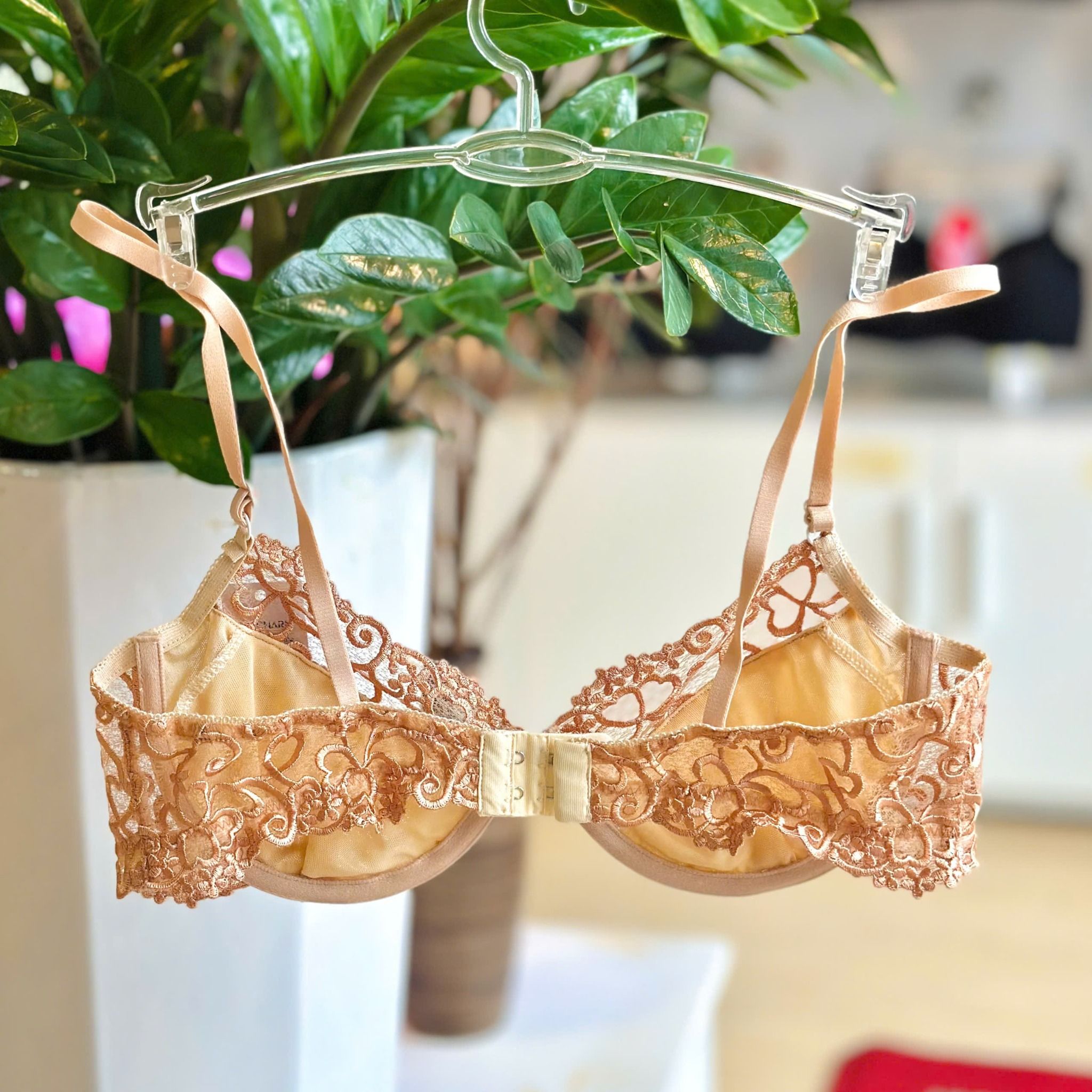 Áo Bra Evacharm ren có gọng