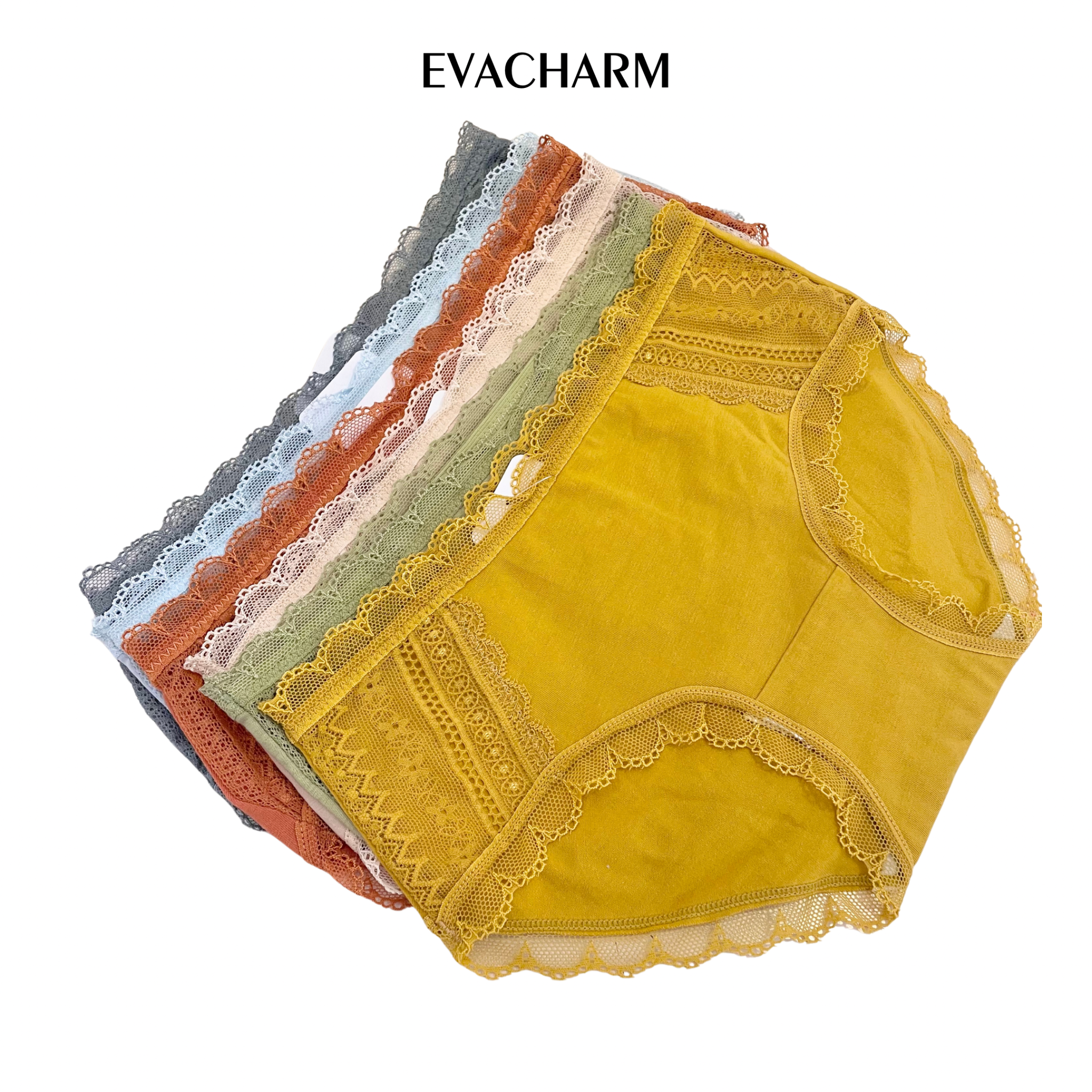 Quần lót Cotton viền ren lưng vừa