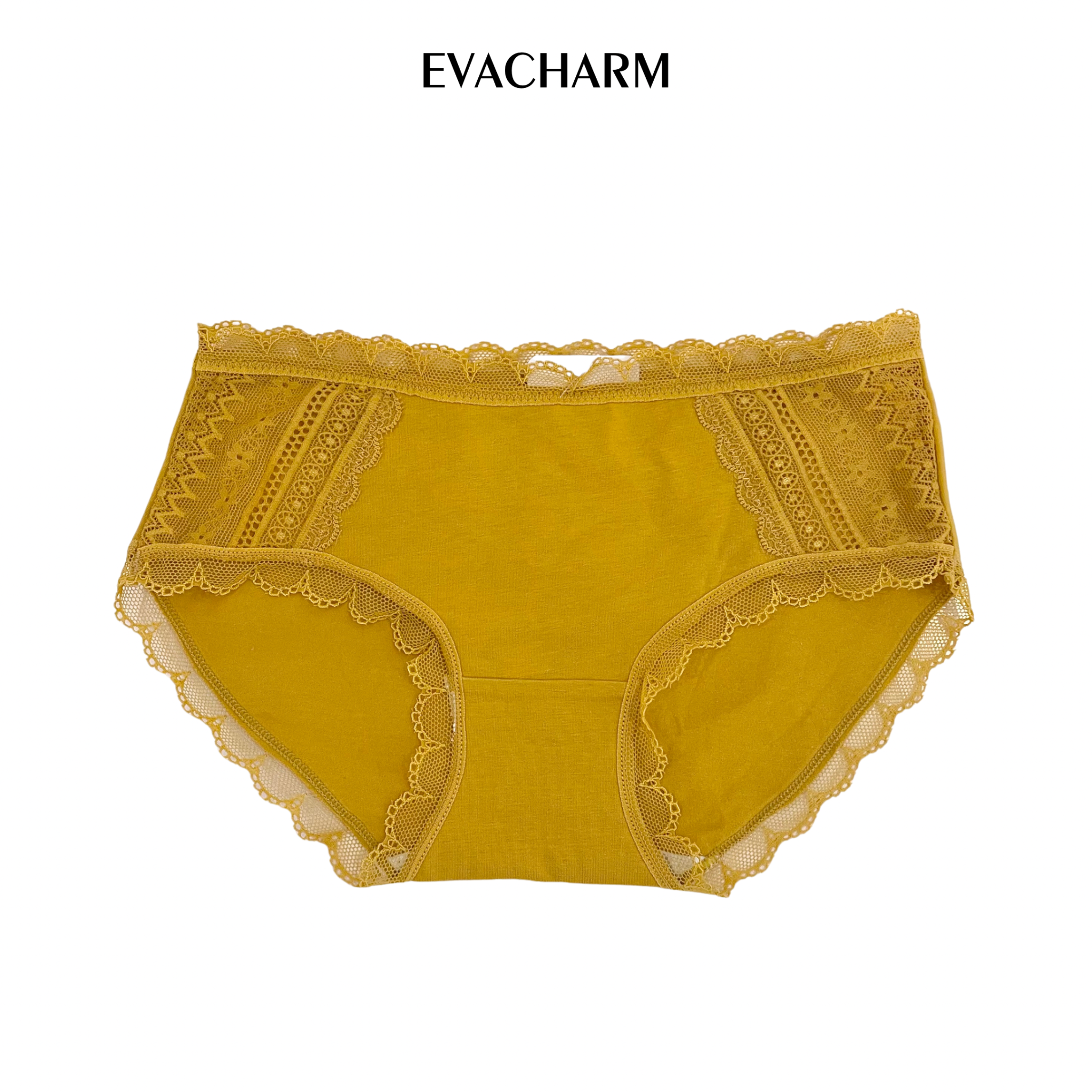 Quần lót Cotton viền ren lưng vừa
