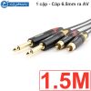 Cáp 6.5mm ra RCA AV 1 cặp Coraon Z-NP2X-B + Z-373-BG + NC-MS2AT 1M 1.5M 3M 5M 10M