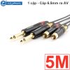 Cáp 6.5mm ra RCA AV 1 cặp Coraon Z-NP2X-B + Z-373-BG + NC-MS2AT 1M 1.5M 3M 5M 10M