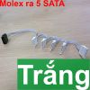 Cáp nguồn Molex IDE 4 pin ra 5 SATA - Cáp chia nguồn SATA 1 đầu 4 pin ATA sang 5 SATA 60Cm