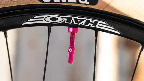 Bộ van Muc off Tubeless Pink