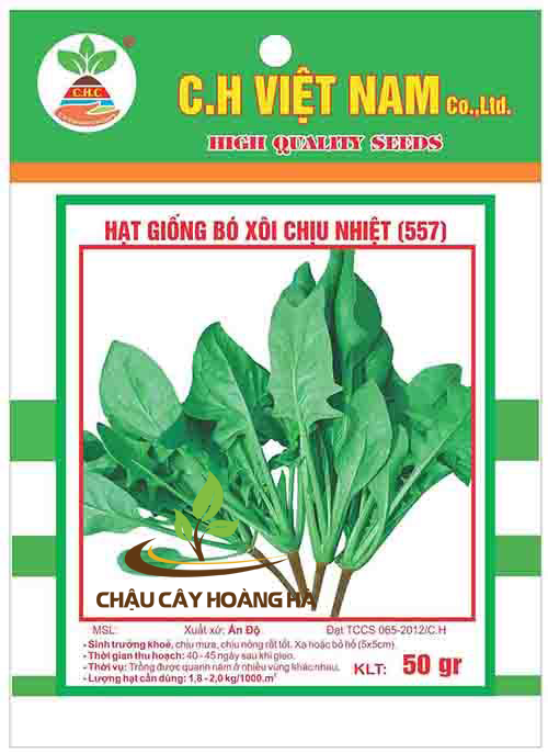 Hạt giống bó xôi chịu nhiệt 50gr