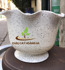 Chậu nhựa trồng hoa 2