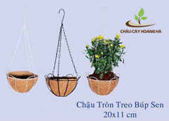 Chậu treo xơ dừa búp sen