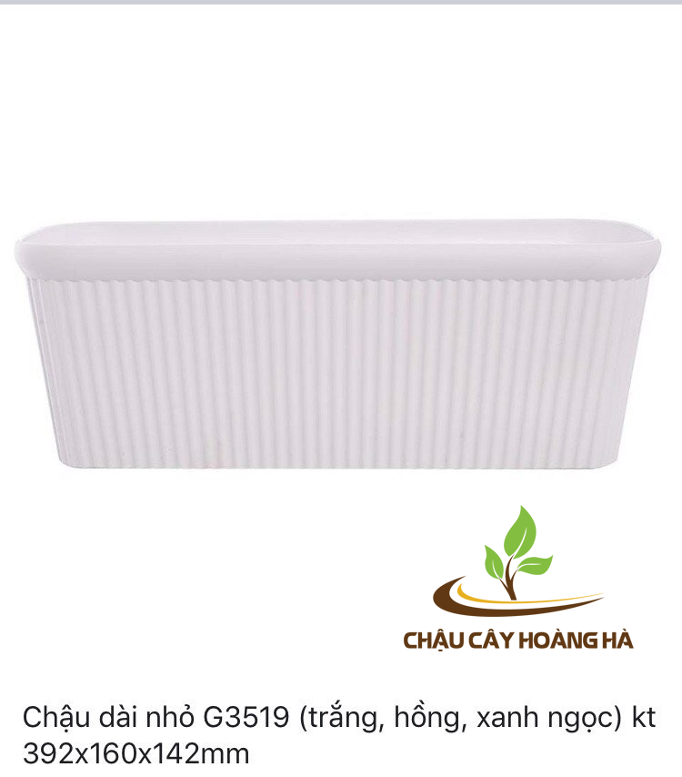 Chậu nhựa hình chữ nhật dài nhỏ G3519