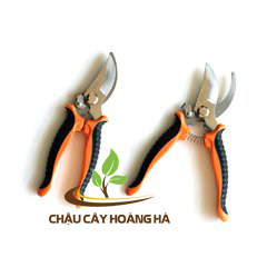 Kéo cắt tỉa cành K002